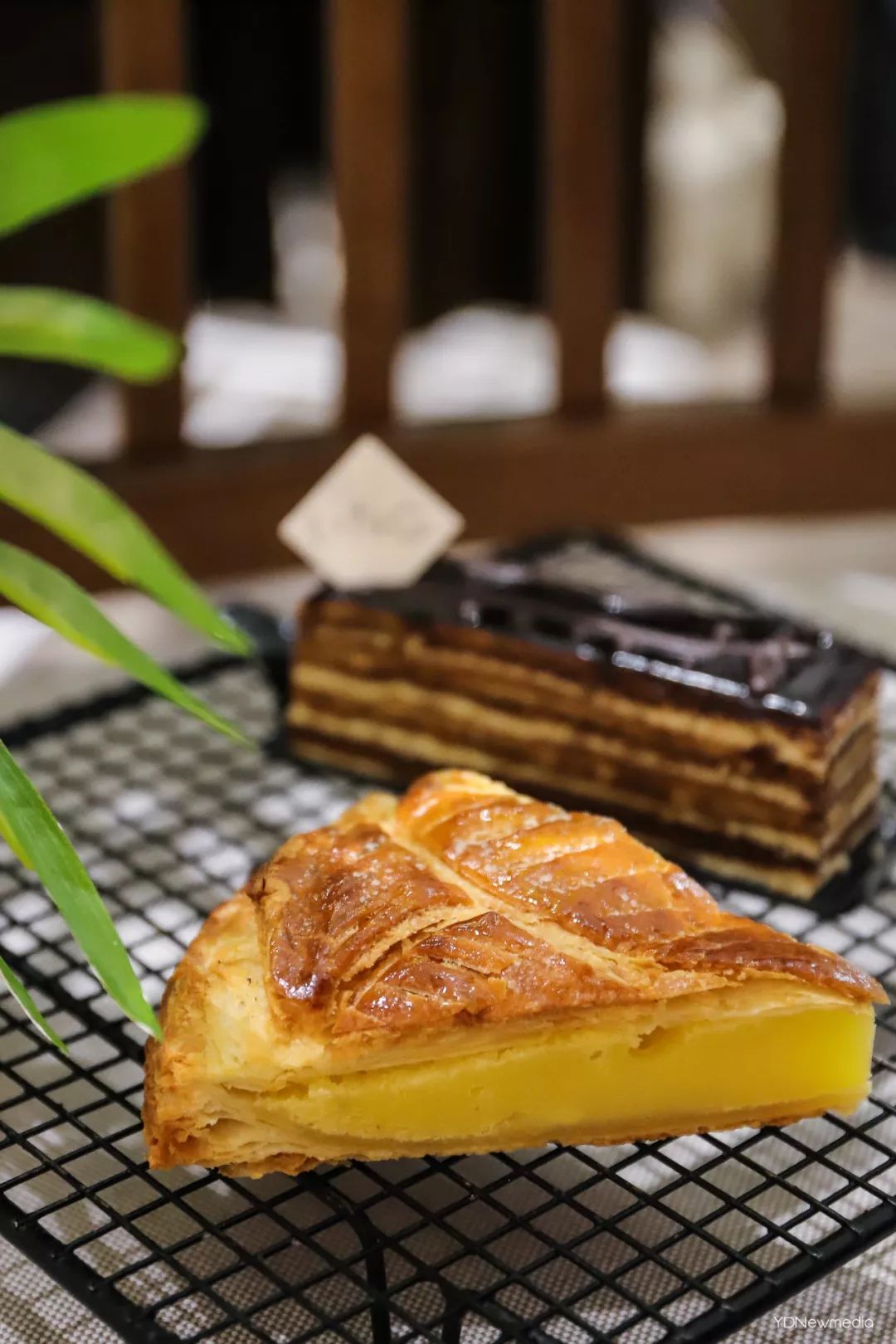 狂送福利！小鲜肉集结的韩料，火爆广州的茶室……你想要的统统给你！