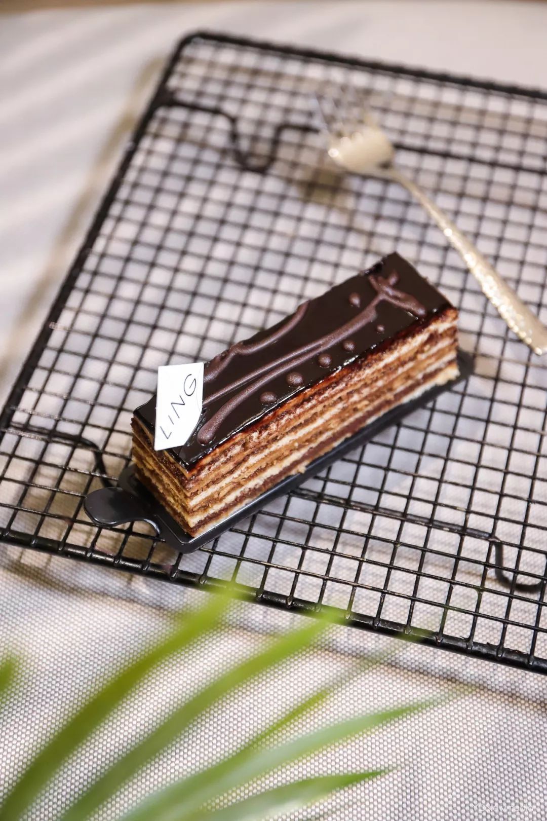 狂送福利！小鲜肉集结的韩料，火爆广州的茶室……你想要的统统给你！