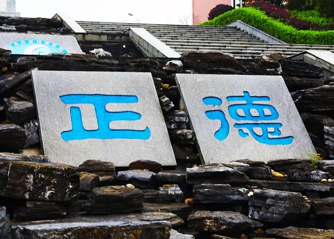 传承好家风学生事迹,传承优良学风争做时代新人