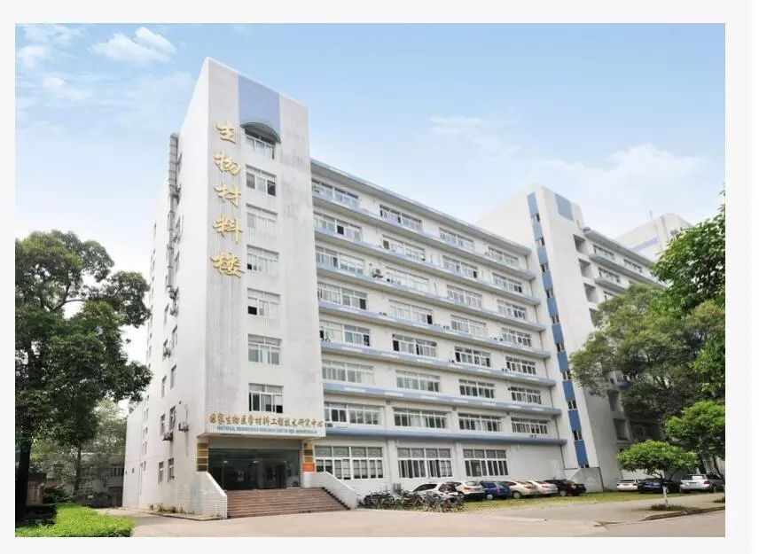 硬核顶尖大学再登nature正刊,川大最新研究成果