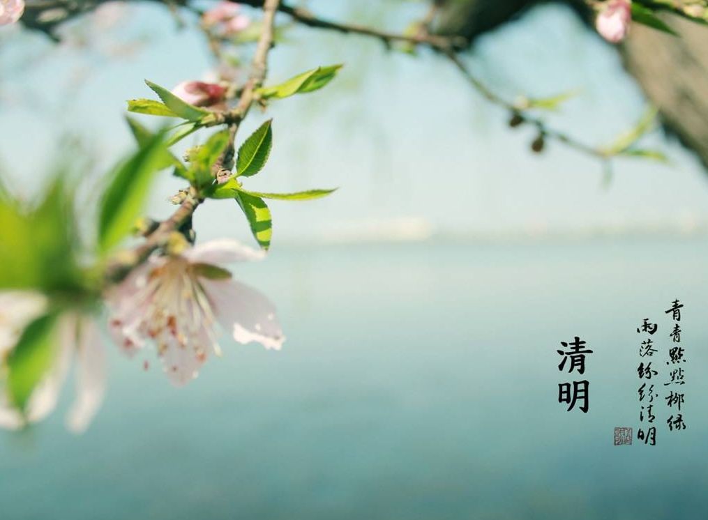 清明节的由来与习俗300字,有关清明节由来和习俗英语版