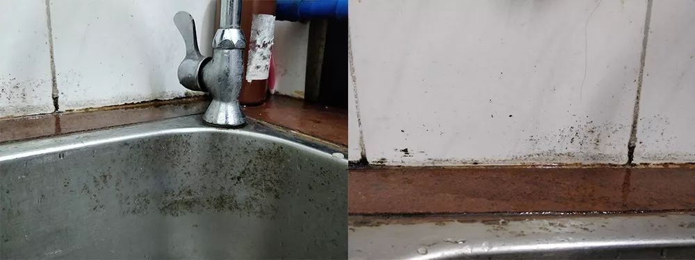 黑科技除积碳,黑科技油污清洁剂