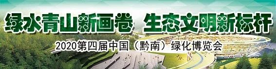 安远县小学学区划分,2021年高安市小学学区划片