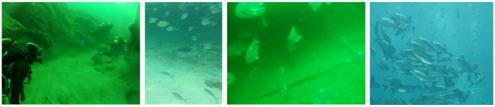 无滤镜呈现真实视觉,无滤镜真实自然风光