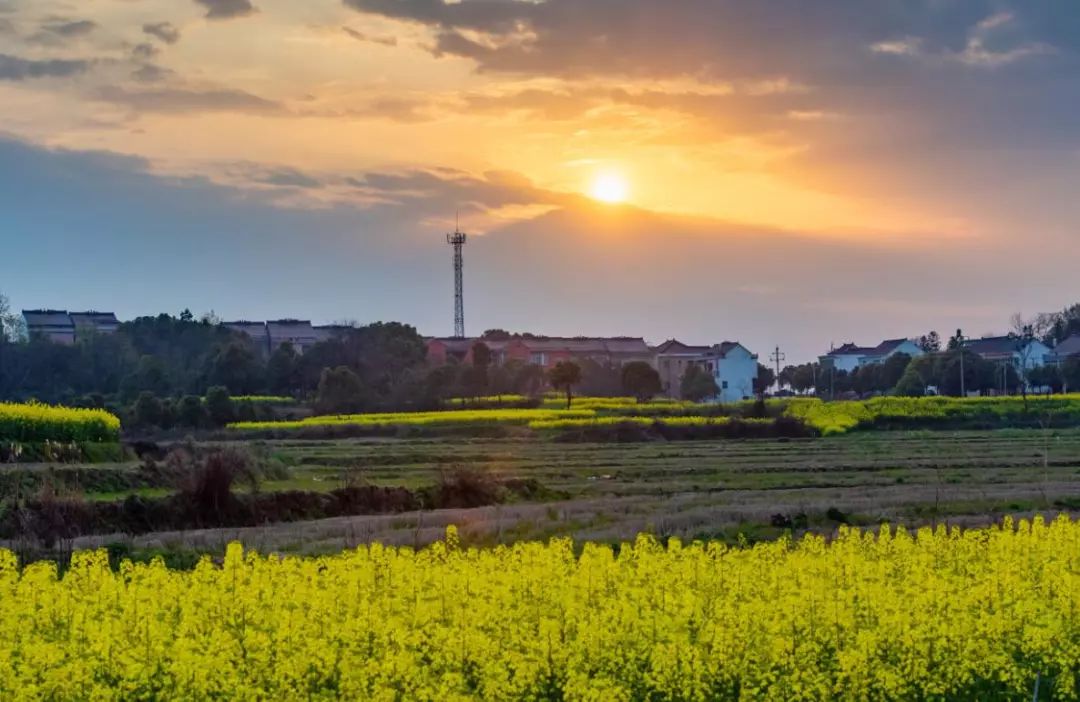 枞阳摄影师,枞阳拍照写真