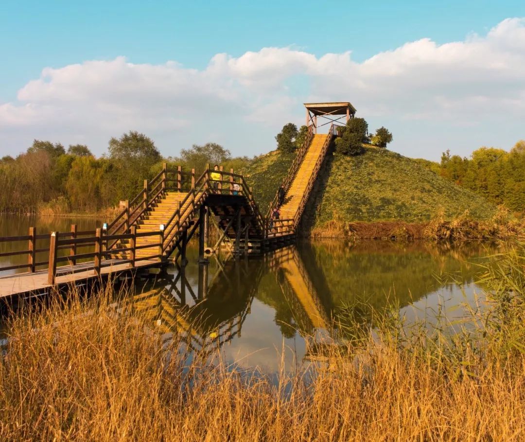 结棍！这个春天，是崇明撑起了魔都的体面！