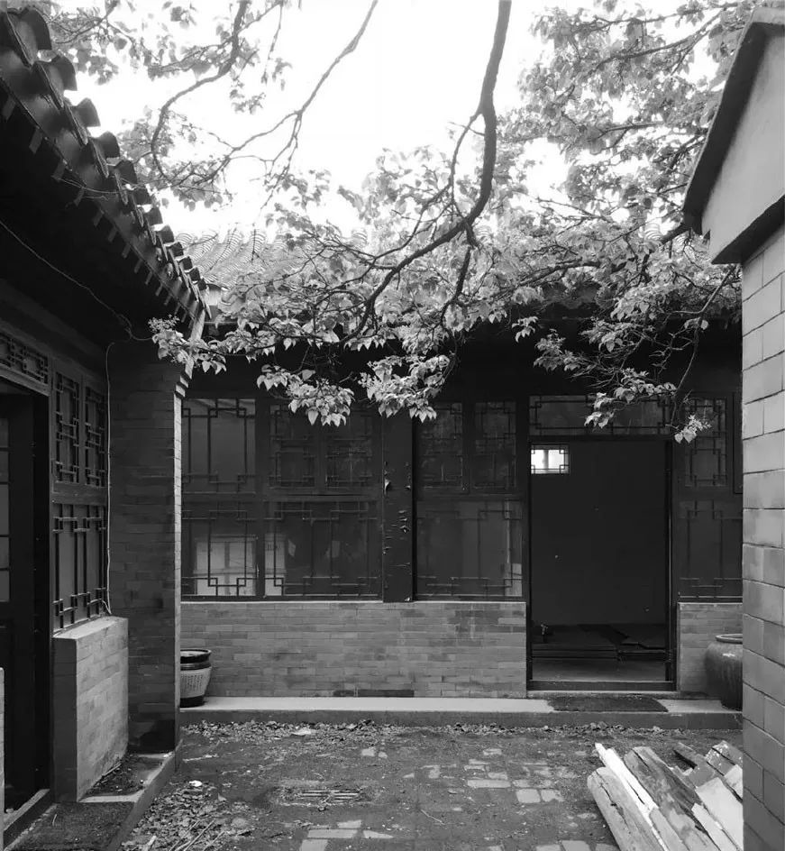 北京姑娘开民宿,北京姑娘开了家胡同民宿