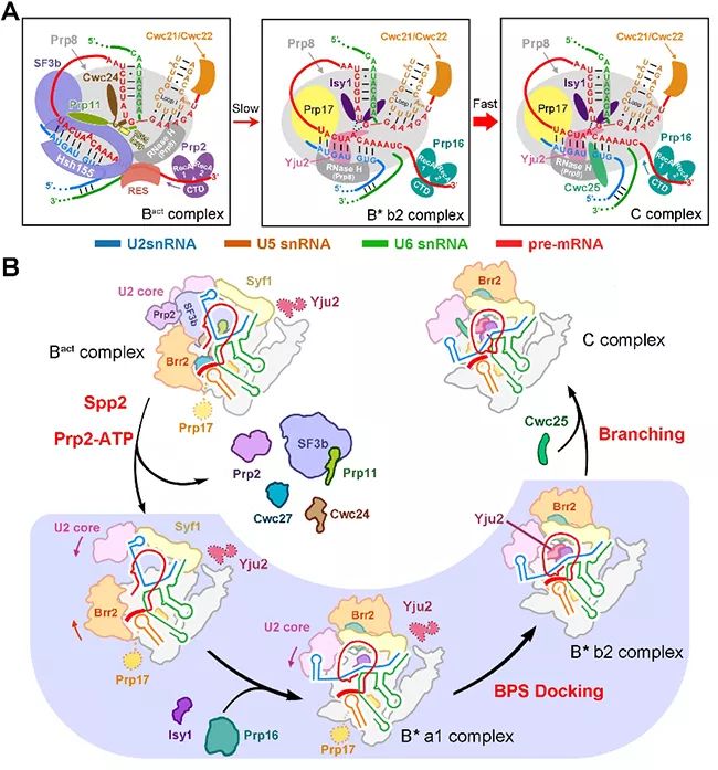 机械前沿领域的科研成果,盘点医学界前沿十大科研成果