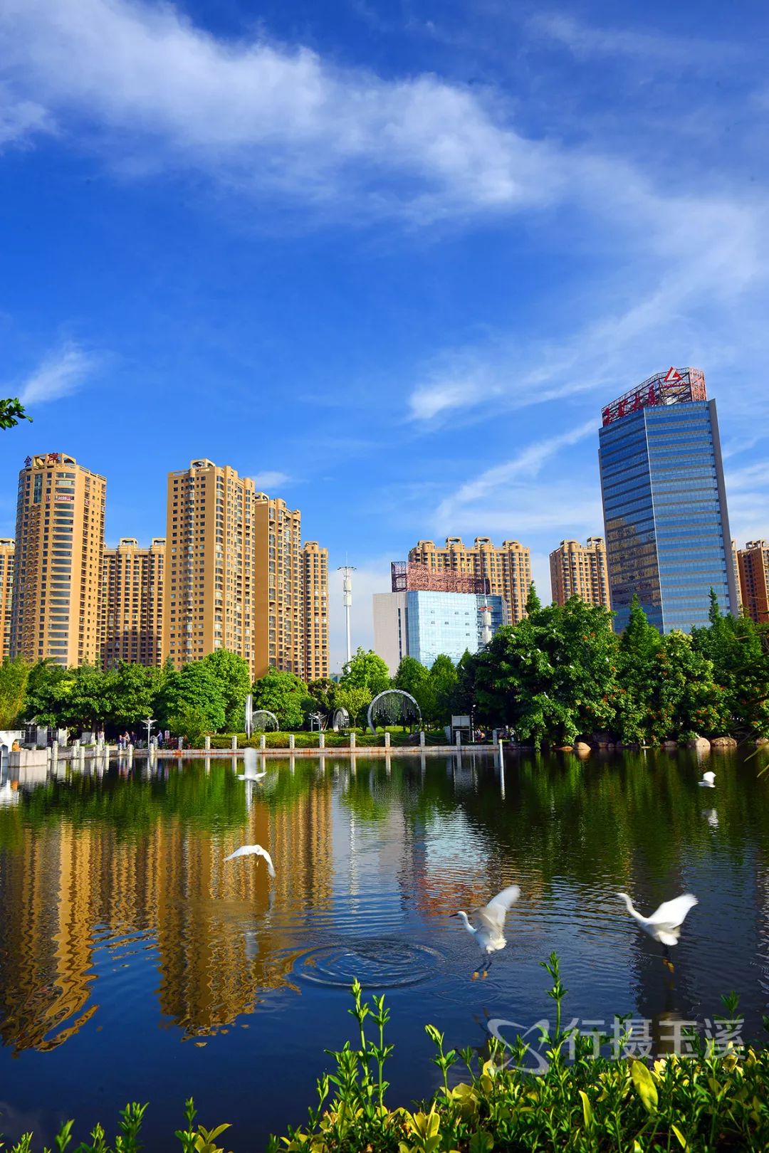 玉溪是一个好地方,玉溪滇中植物园是个美丽的大花园