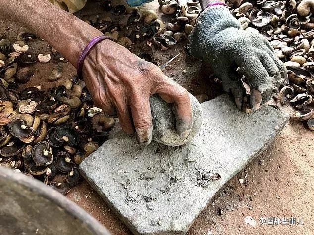 怎样才能正确的剥腰果,剥腰果有多困难