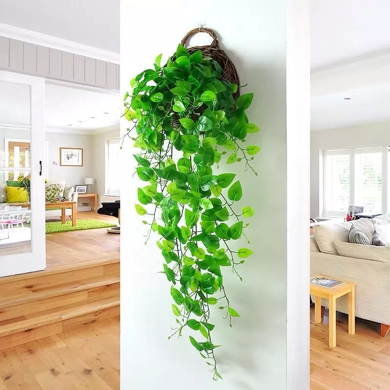 绿植装饰艺术,绿植造型效果图