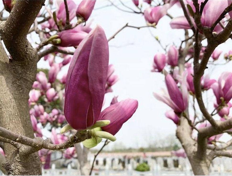 春季犯困乏力吃点什么,春困瞌睡易疲劳