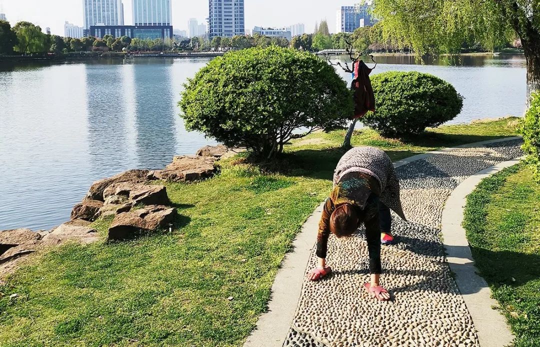 爬行运动专家讲解,中老年适合爬行运动