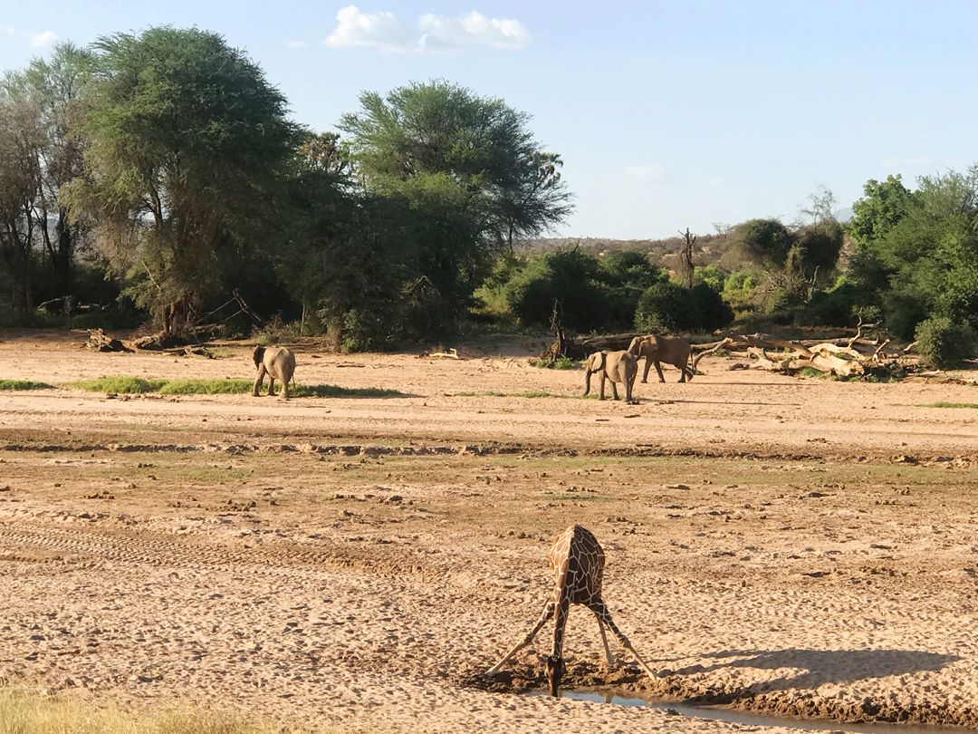 跟刘昊然在非洲过了6天5夜,发现他其实就是个话痨加多动症啊……