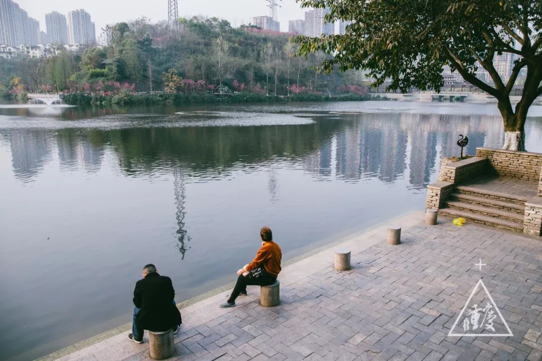 重庆最新旅游大全,重庆全集免费观看