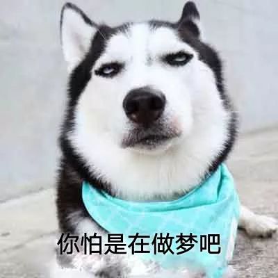 今天一定早睡！那么，到底几点睡才算是熬夜？