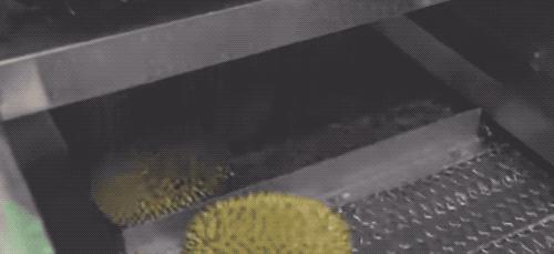 榴莲干特征,榴莲干为什么这么好吃