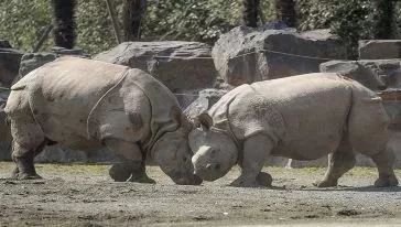 上海魔都景区,上海魔都必去景点免费