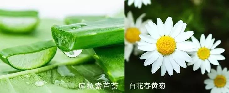 拨黑头工具草莓鼻,去黑头神器真的能吸出黑头