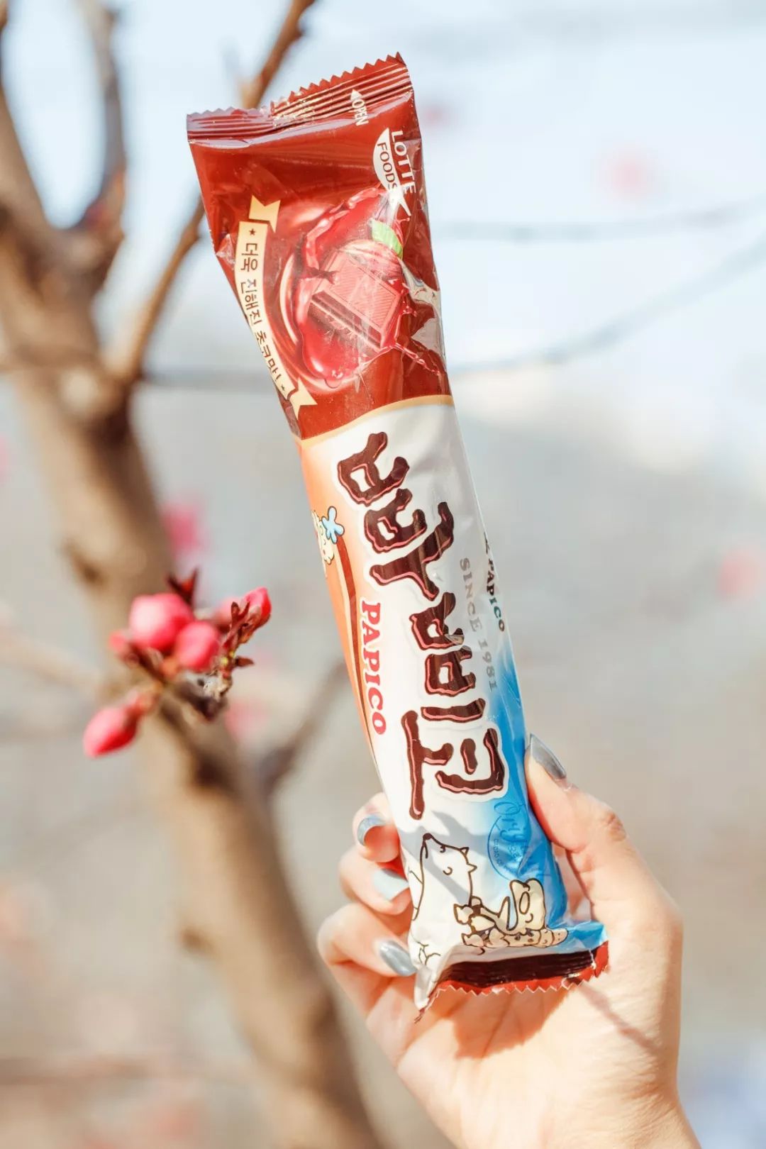 7.11便利店什么雪糕值得买,适合便利店的雪糕