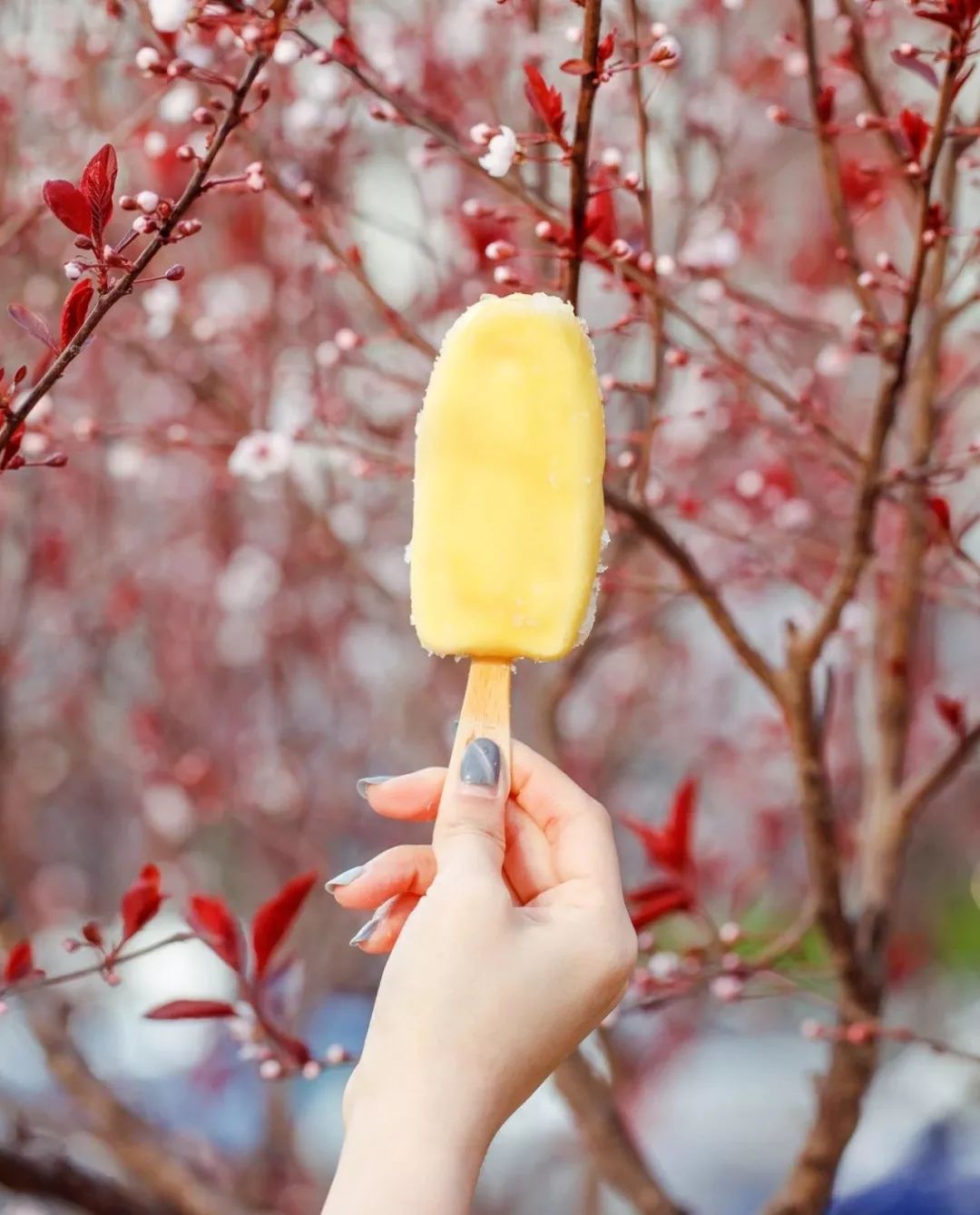 7.11便利店什么雪糕值得买,适合便利店的雪糕