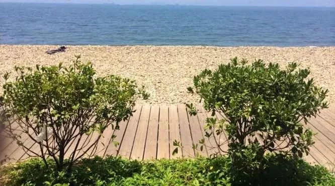 四月适合旅游的地方,四月旅游最好的去处