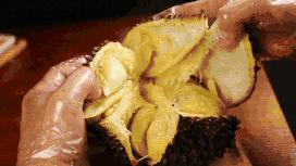 泰国回来后得白血病,泰国回来得了癌症