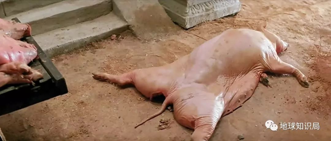 【轻松阅读】广东话有多强,你识得唔识得啊