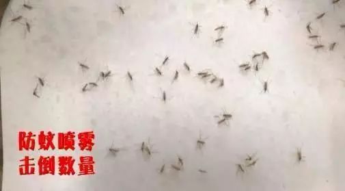 户外溜达一圈回来身上痒怎么办,出门一趟回来浑身痒