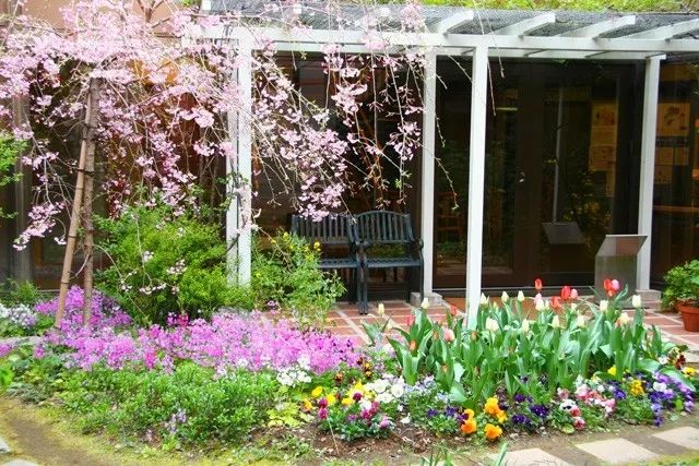 招募丨2019暑期精品小团，蒲蒲兰带你去见宫西达也！