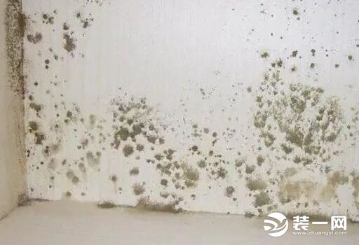 墙面发霉太严重怎样才能彻底解决,墙面发霉怎么处理最好