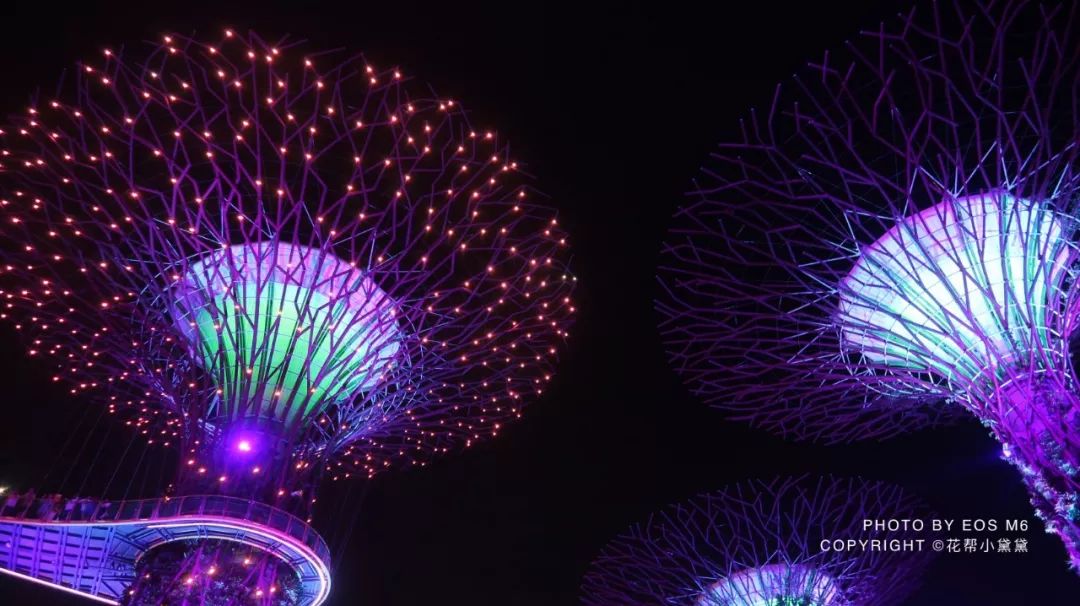 真香原版图片大全,新加坡图文旅游攻略