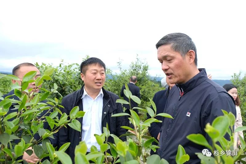 杭州对口帮扶黔东南企业,杭州金融帮扶