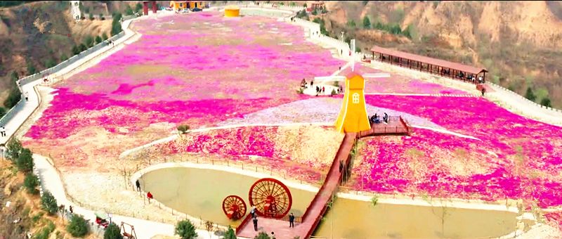 最美人间四月天去哪里旅游,最美人间四月天正是出游好时节