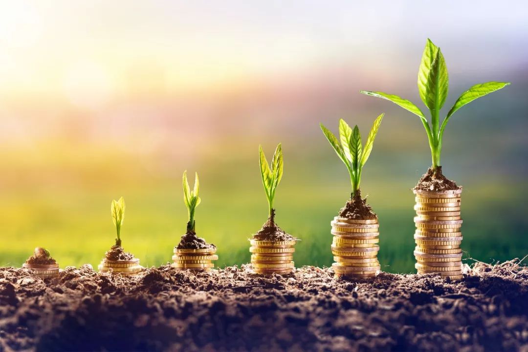 飞利浦中国区高管名单,飞利浦财务经理