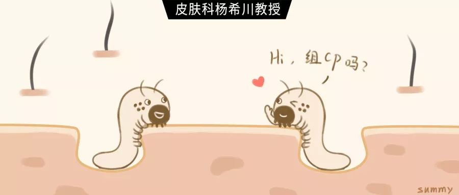 一百只螨虫堆在一起能看见吗,螨虫在脸上繁殖速度