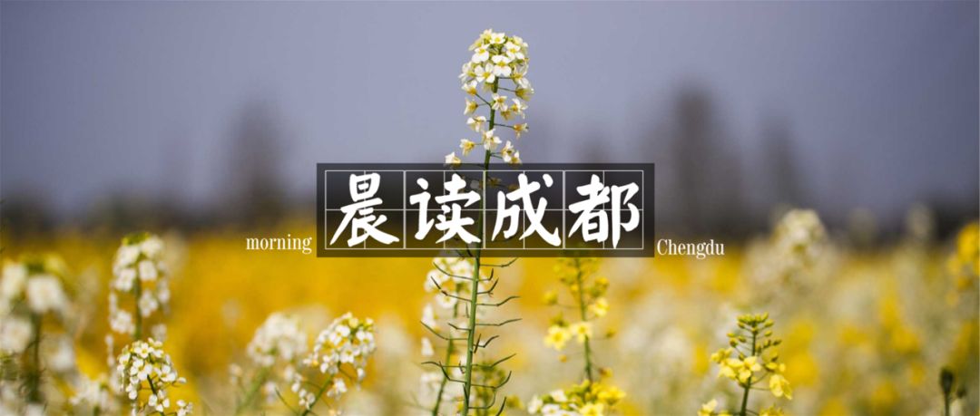 成都今天有大风预警吗,晨读清晨天气格外晴朗