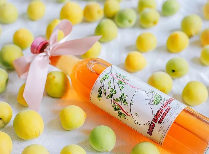 好喝平民价的几款甜酒,推荐女生喝的甜酒