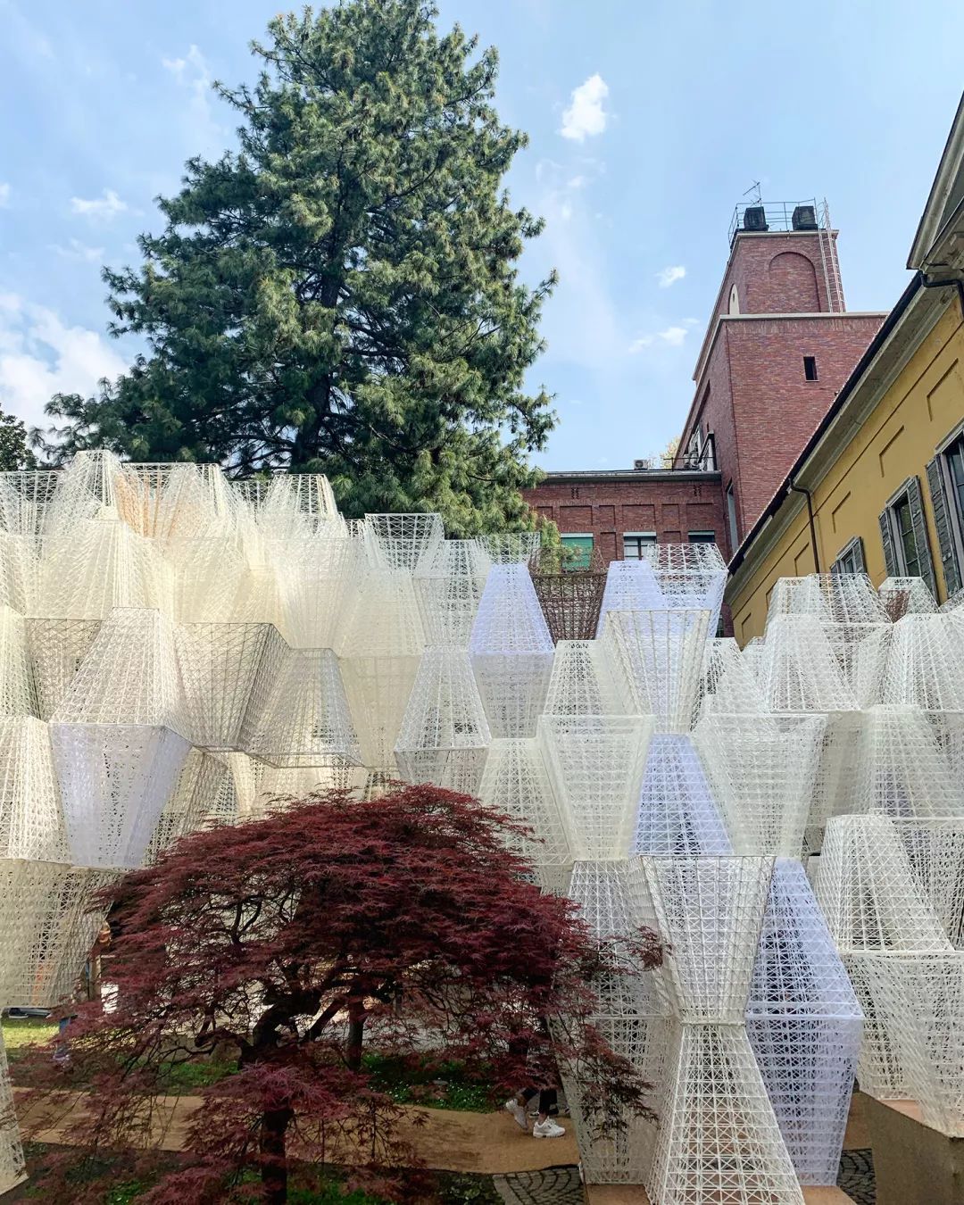 米兰街头暗访竟有井柏然,结果意外:购物车空了