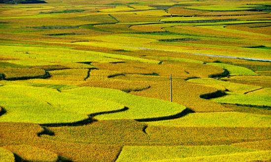 鍗佷竴鍋囨湡濠烘簮鏃呮父鏀荤暐,濠烘簮鍗佷竴鏈堜唤鏃呮父鏀荤暐