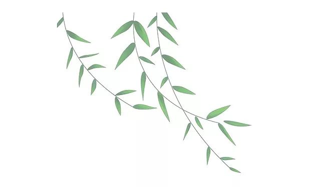 游恩施的攻略有哪些地方可以玩,恩施游玩哪些地方值得去玩