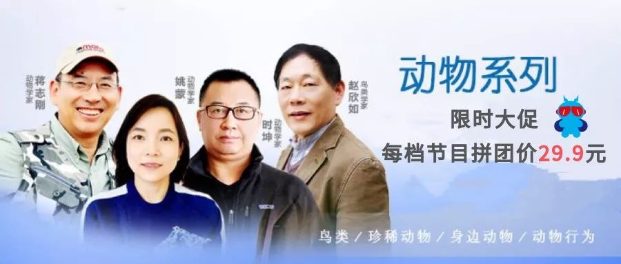 限时特惠|四位动物学家、带你走进前所未知的动物世界