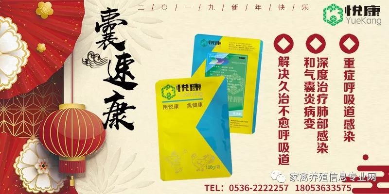 呼吸道疾病好了还要吃药吗,呼吸道问题有什么特效药治疗