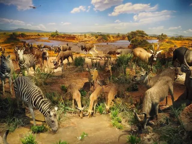 2019年9月份重庆免费活动,2019重庆新打卡地