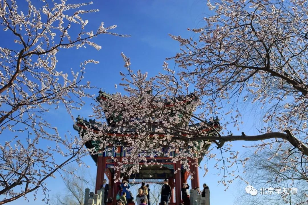 北京怎么治过敏鼻炎 (在北京过敏鼻炎哪里看有效)