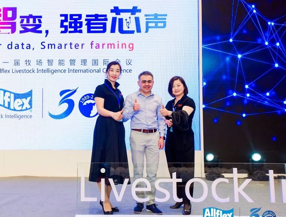 大数据万万没想到,万万没想到深度解析