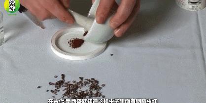 BBC又来惊爆：你抹口红，就是在亲吻上万只昆虫尸体？美丽背后这么血腥…