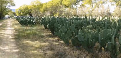 BBC又来惊爆：你抹口红，就是在亲吻上万只昆虫尸体？美丽背后这么血腥…