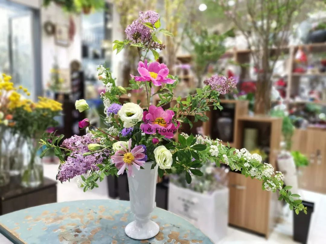 芍药花开清香袭来