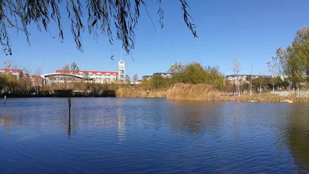 郑州惠济区私立学校招聘教师,郑州教师招聘人才引进